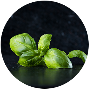 hozzavalok_bazsalikom