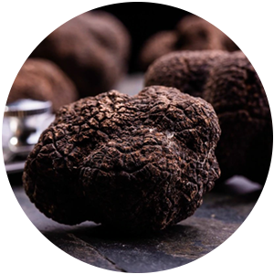 hozzavalok_szarvasgomba